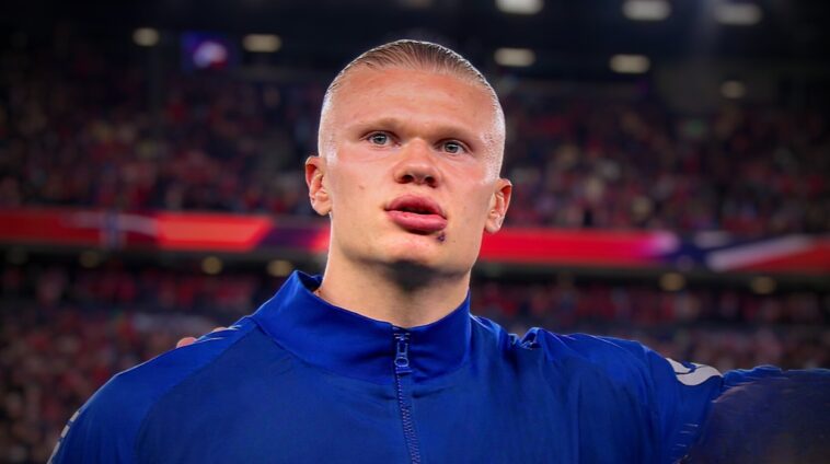 Erling Haaland (Manchester City : Norvège)